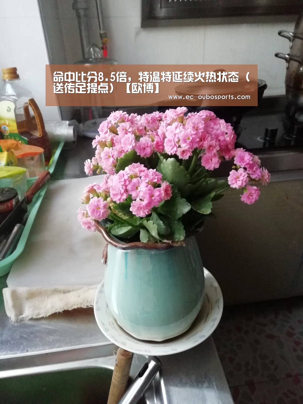 命中比分8.5倍,特温特延续火热状态(送传足提点)【欧博】(图1) 欧博